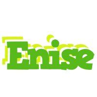 Enise picnic logo