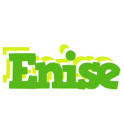 Enise picnic logo