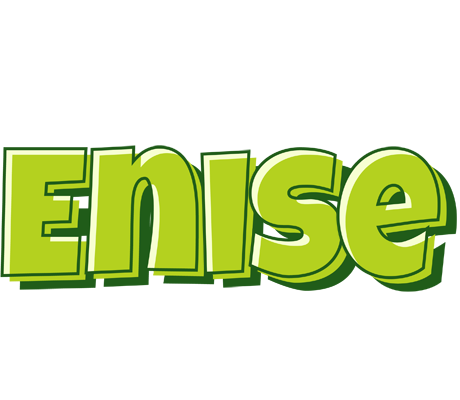 Enise summer logo