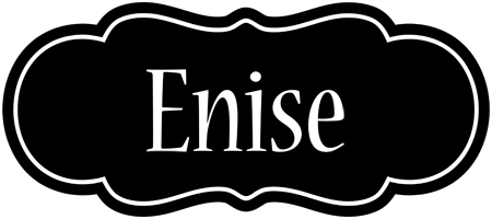 Enise welcome logo