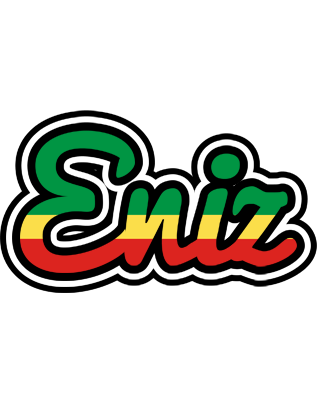Eniz african logo