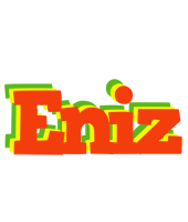 Eniz bbq logo