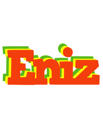 Eniz bbq logo