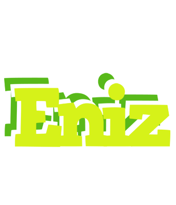 Eniz citrus logo