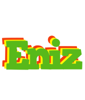 Eniz crocodile logo