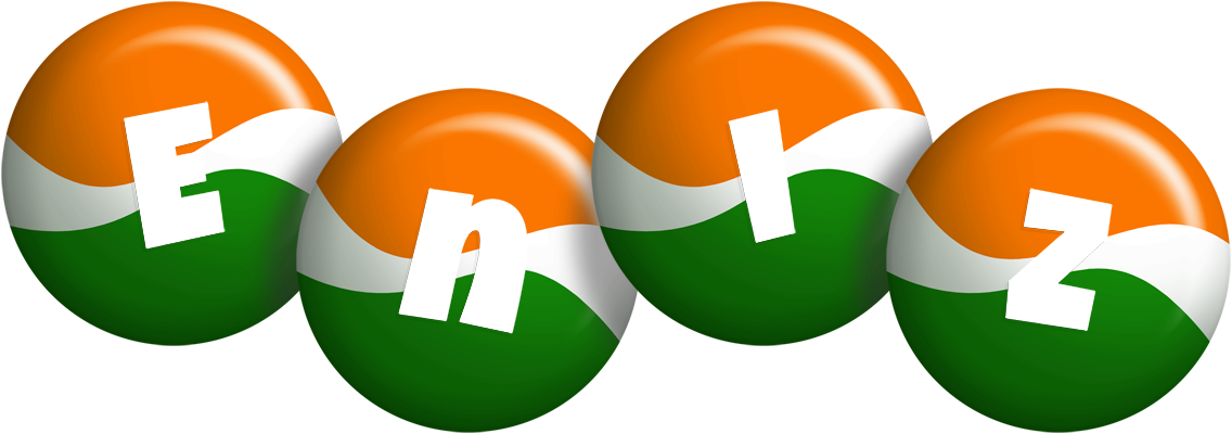 Eniz india logo