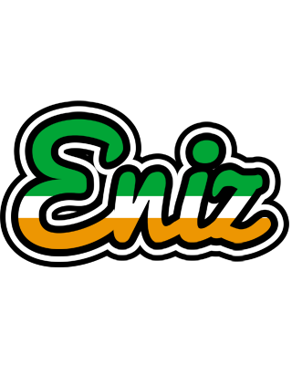 Eniz ireland logo