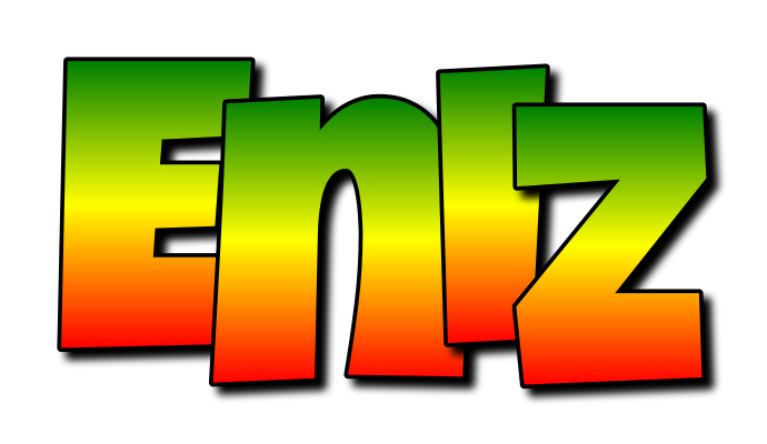 Eniz mango logo