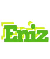 Eniz picnic logo