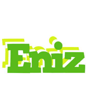 Eniz picnic logo