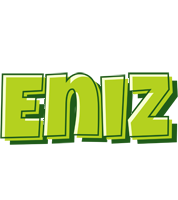 Eniz summer logo