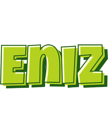 Eniz summer logo
