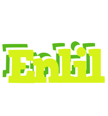 Enlil citrus logo