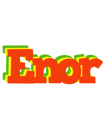 Enor bbq logo
