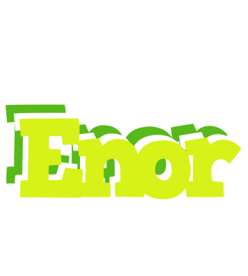 Enor citrus logo