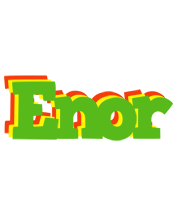 Enor crocodile logo