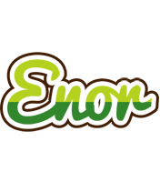 Enor golfing logo