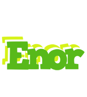 Enor picnic logo