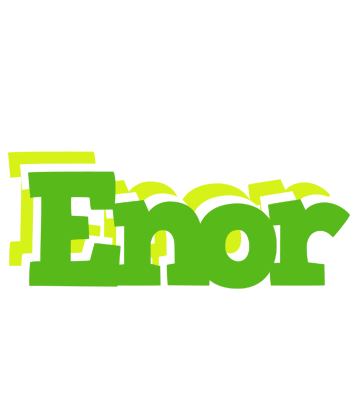 Enor picnic logo