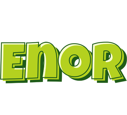 Enor summer logo