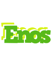 Enos picnic logo