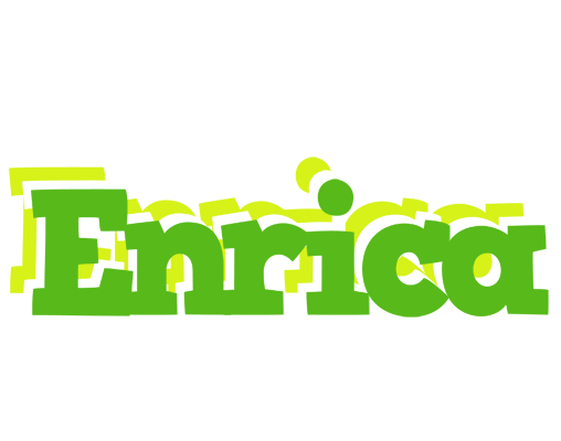 Enrica picnic logo