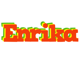 Enrika bbq logo