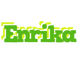 Enrika picnic logo