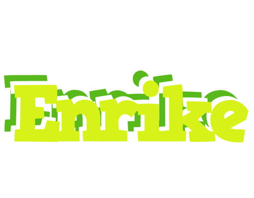 Enrike citrus logo