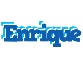 Enrique business logo
