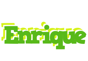 Enrique picnic logo