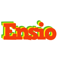 Ensio bbq logo