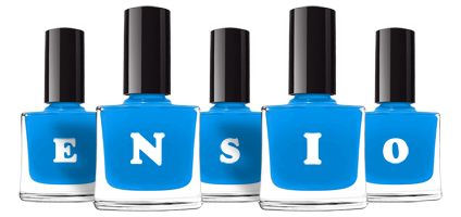 Ensio glossy logo