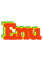 Enu bbq logo