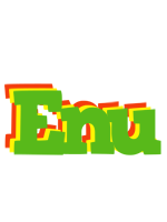 Enu crocodile logo