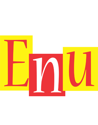 Enu errors logo