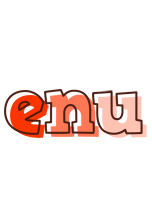 Enu paint logo