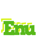 Enu picnic logo