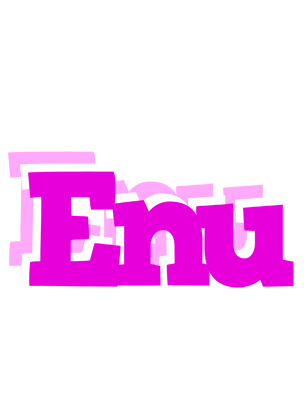 Enu rumba logo