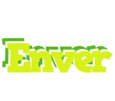 Enver citrus logo