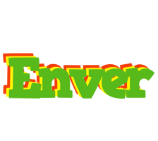 Enver crocodile logo