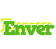 Enver picnic logo