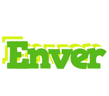 Enver picnic logo