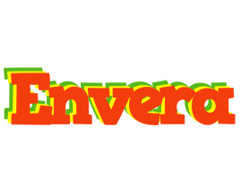 Envera bbq logo