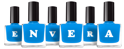 Envera glossy logo