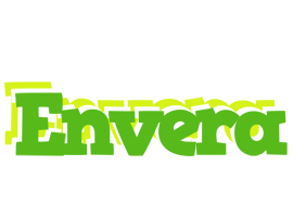 Envera picnic logo