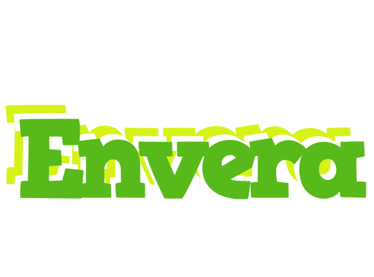 Envera picnic logo