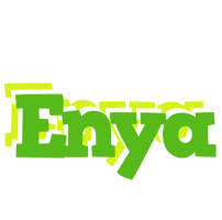 Enya picnic logo