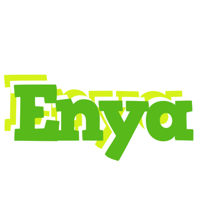 Enya picnic logo