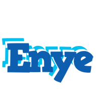 Enye business logo